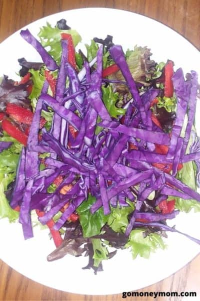 Pineapple Plum Spring Salad