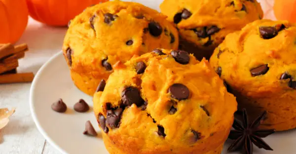 pumpkin chocolate chip muffins