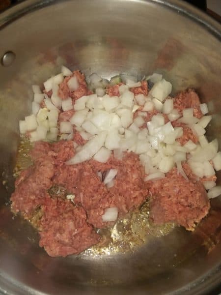ground beef, onions
