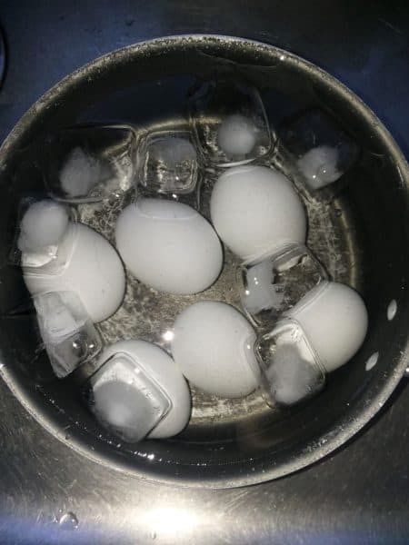 eggs in ice water in a pot