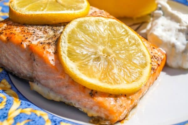 salmon, food, eat