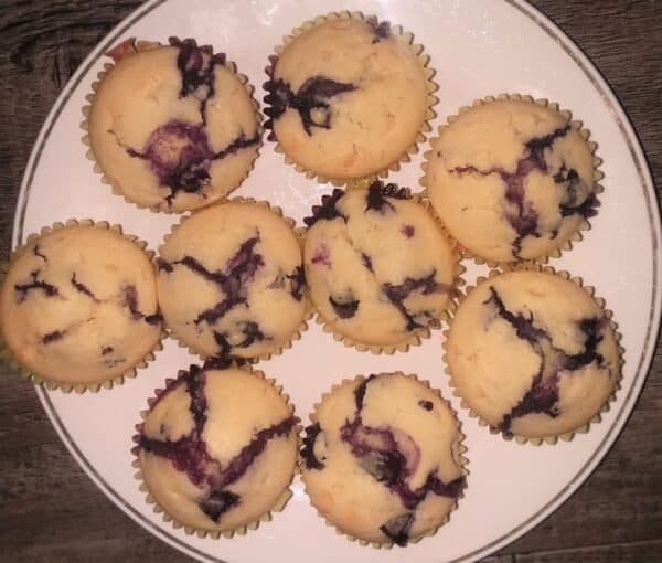 blueberry muffins in a plate
