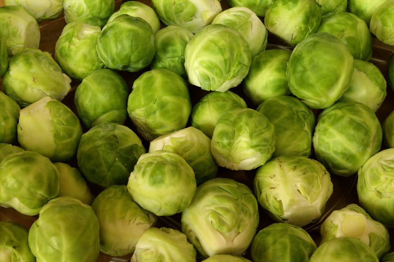 Can You Freeze Brussels Sprouts Go Money Mom