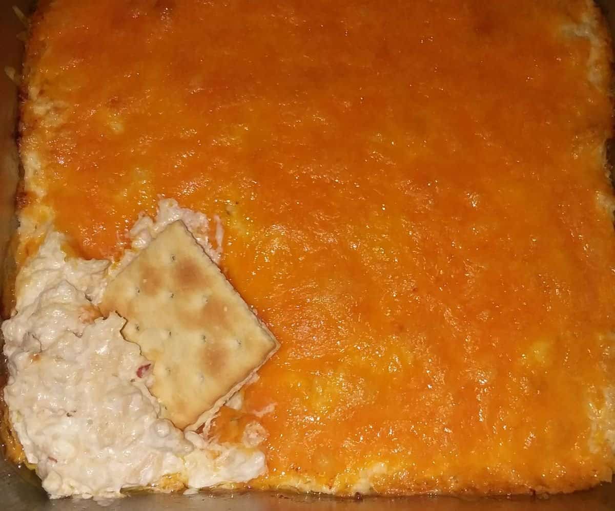 Cheesy Chicken Dip Recipe - Go Money Mom