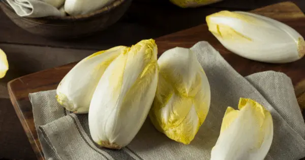 endive