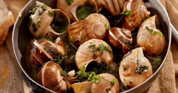 escargot