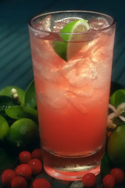 cranberry orange margarita