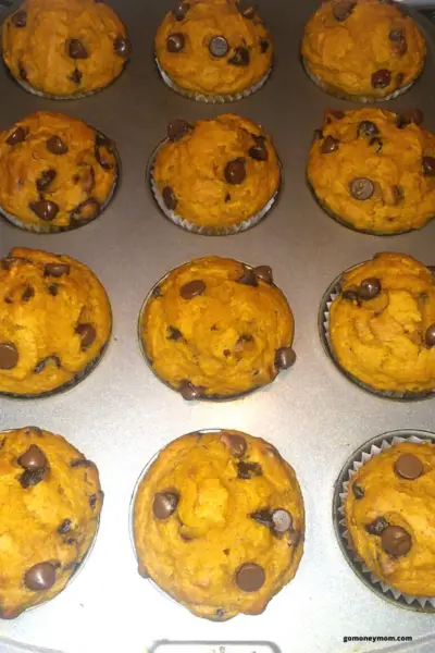 chocolate chip pumpkin muffins