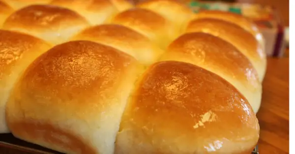 dinner rolls