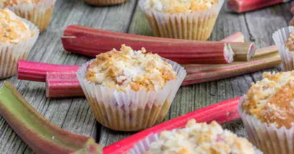 rhubarb muffins
