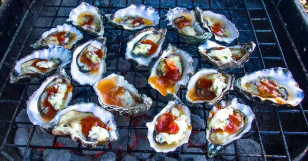 grilled oysters