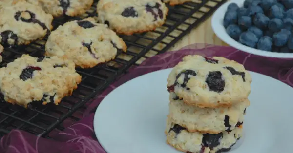 blueberry cookies