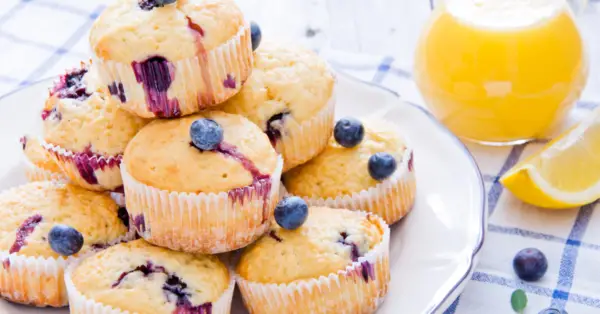 blueberry muffins